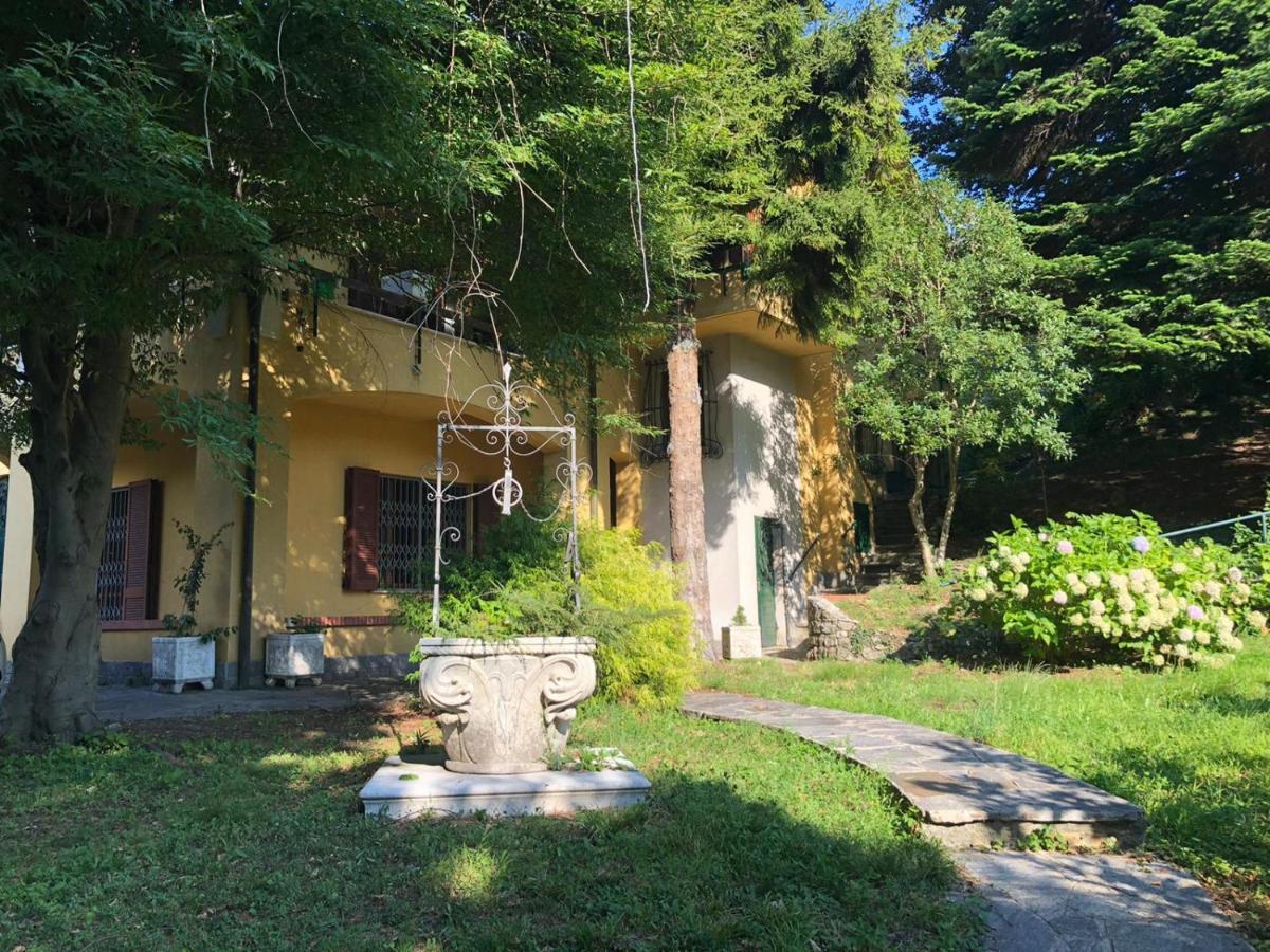 Villa Dei Cedri Asso Esterno foto